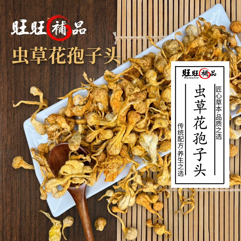 袍子头虫草花