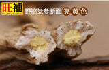 特等党参皇 - WANGWANG HEALTHCARE