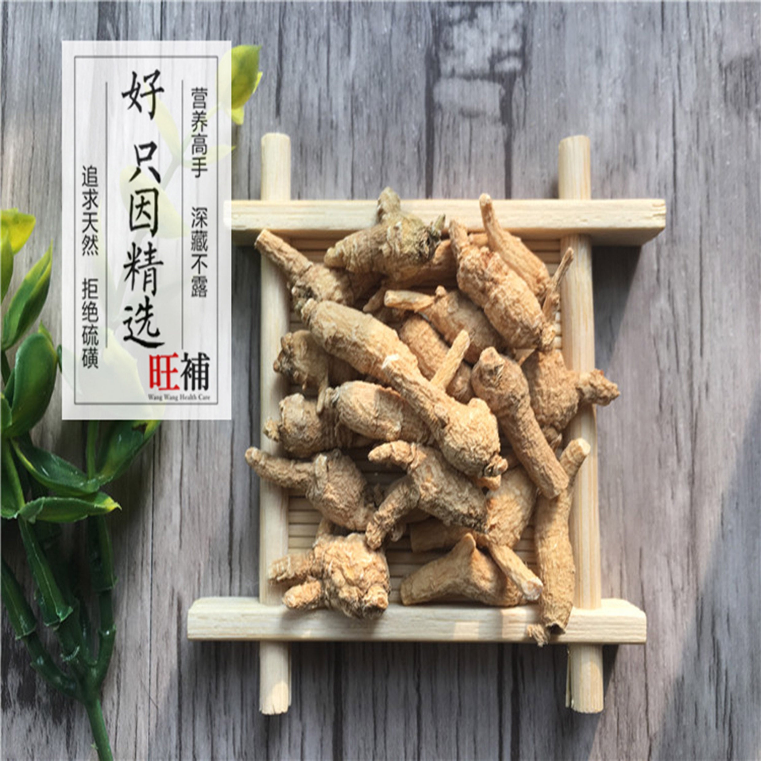 原尾半野生泡参 - WANGWANG HEALTHCARE