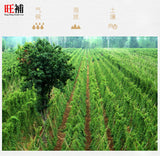 淮山 - WANGWANG HEALTHCARE