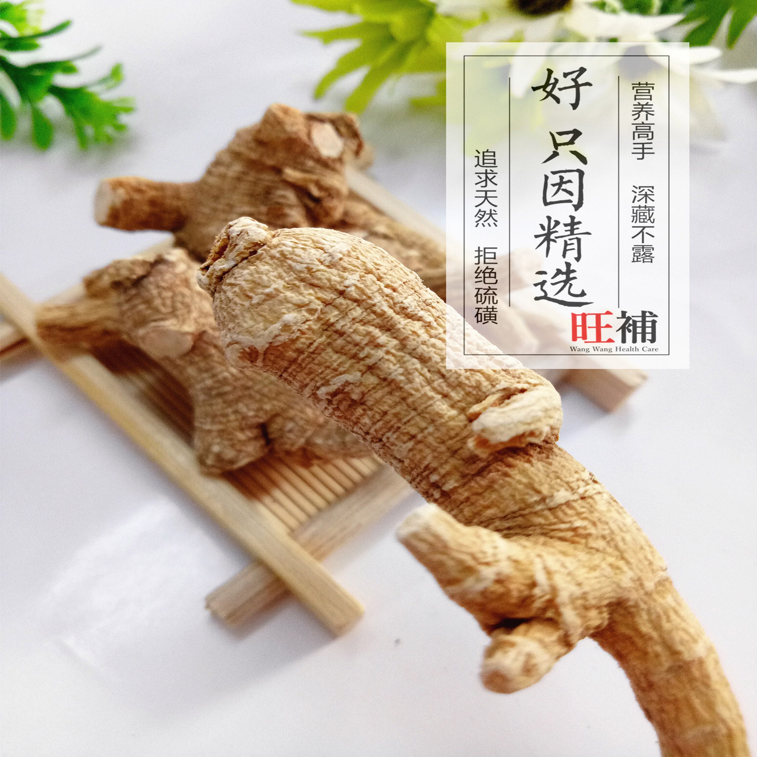 美国花旗参 - 老山花旗参 - WANGWANG HEALTHCARE 主图